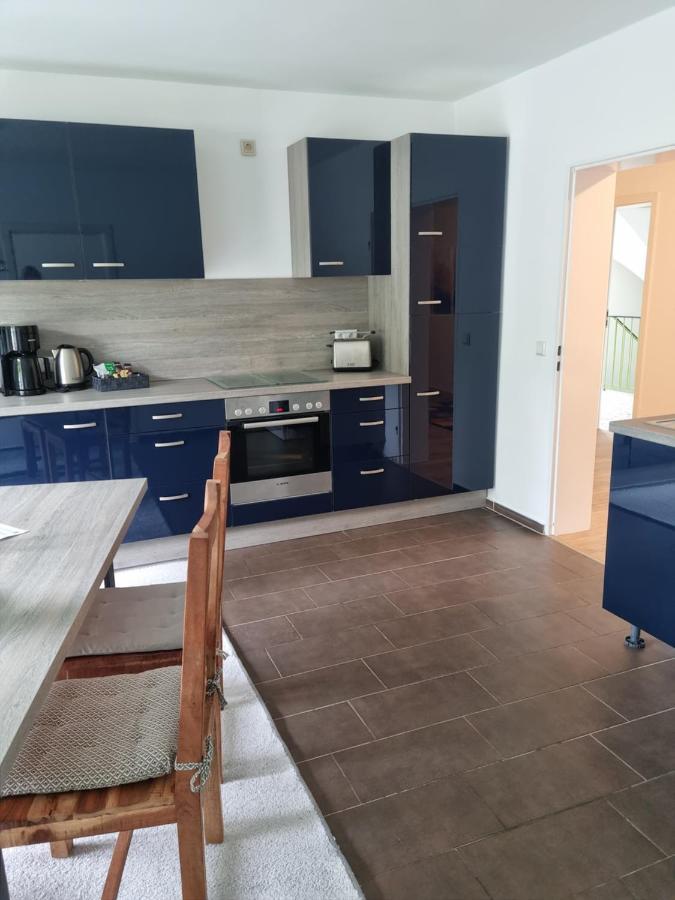 Ferienwohnung Vier Pfoten Willingen  Extérieur photo