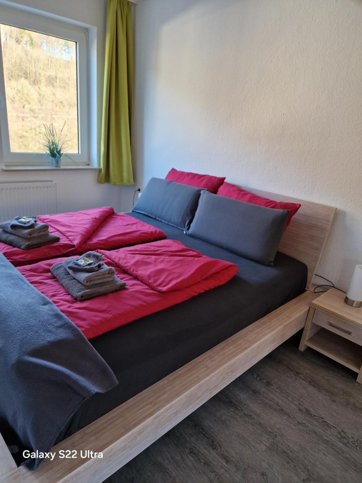Ferienwohnung Vier Pfoten Willingen  Extérieur photo