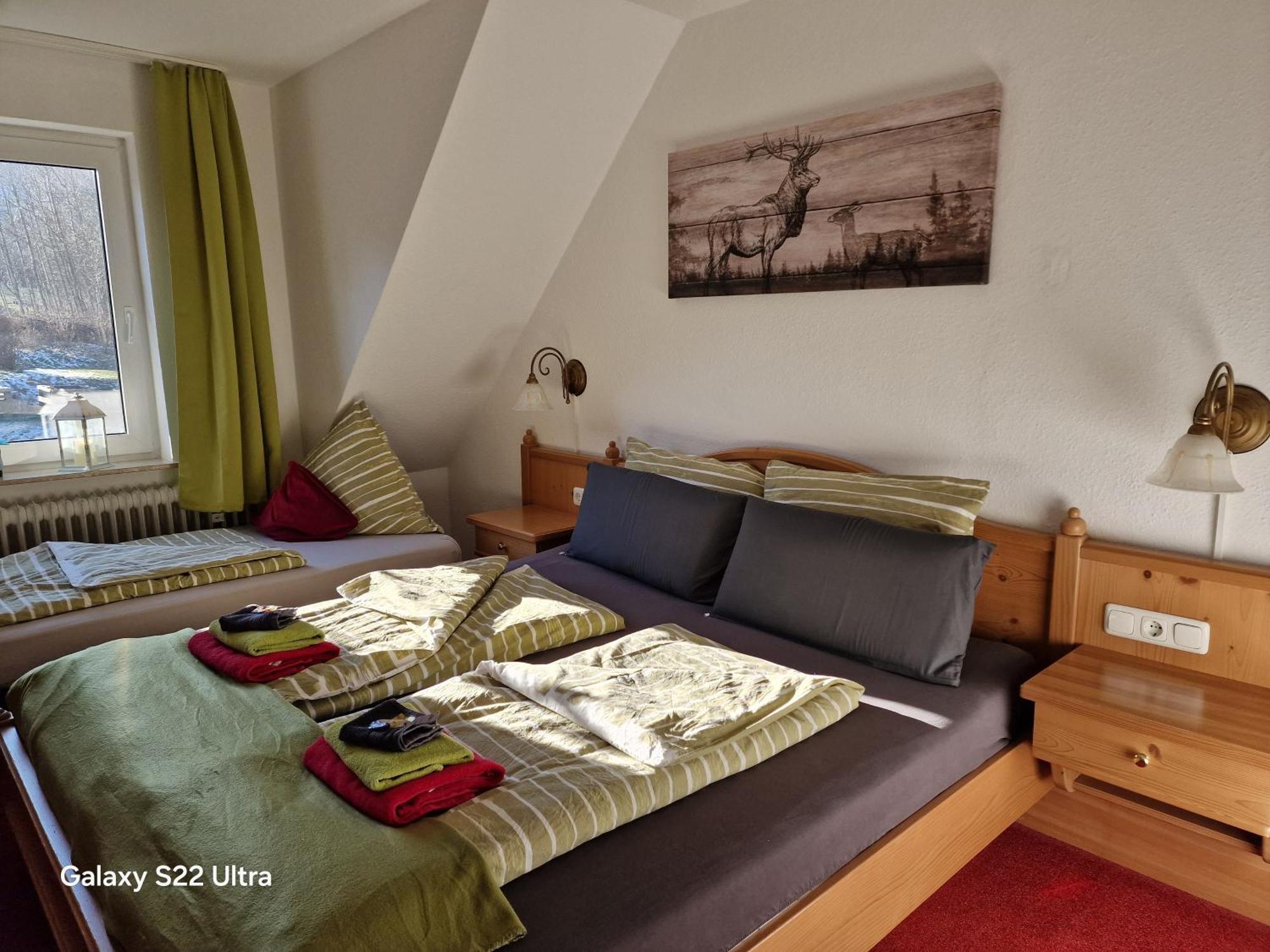 Ferienwohnung Vier Pfoten Willingen  Extérieur photo