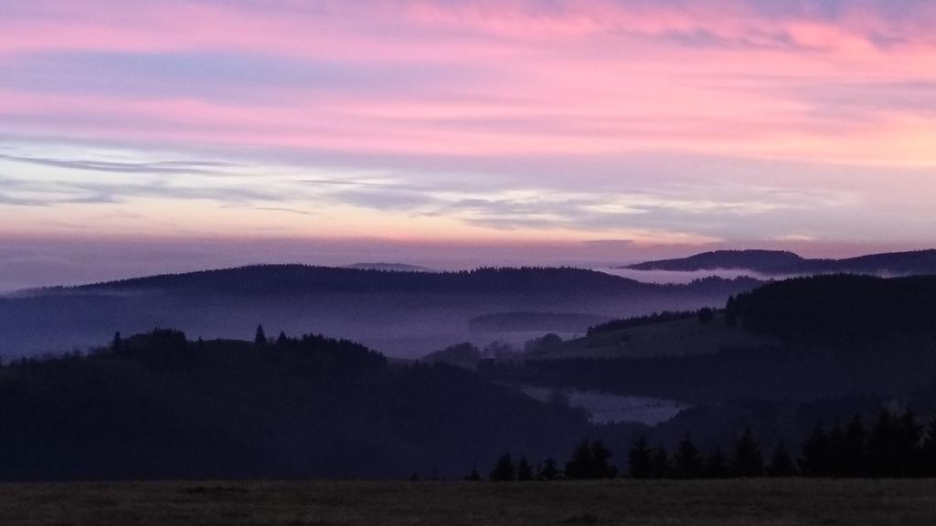 Ferienwohnung Vier Pfoten Willingen  Extérieur photo